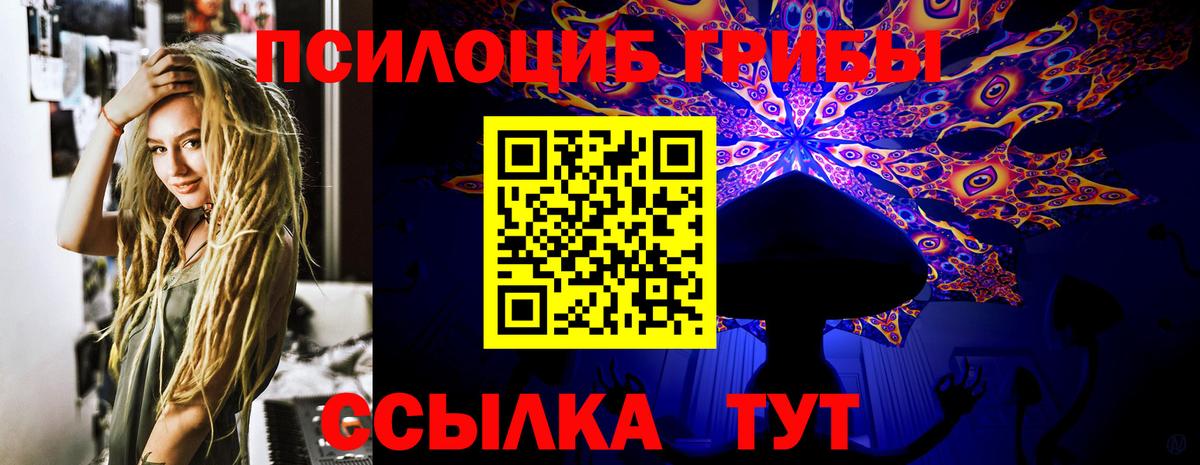 Псилоцибиновые грибы Psilocybine cubensis Егорьевск