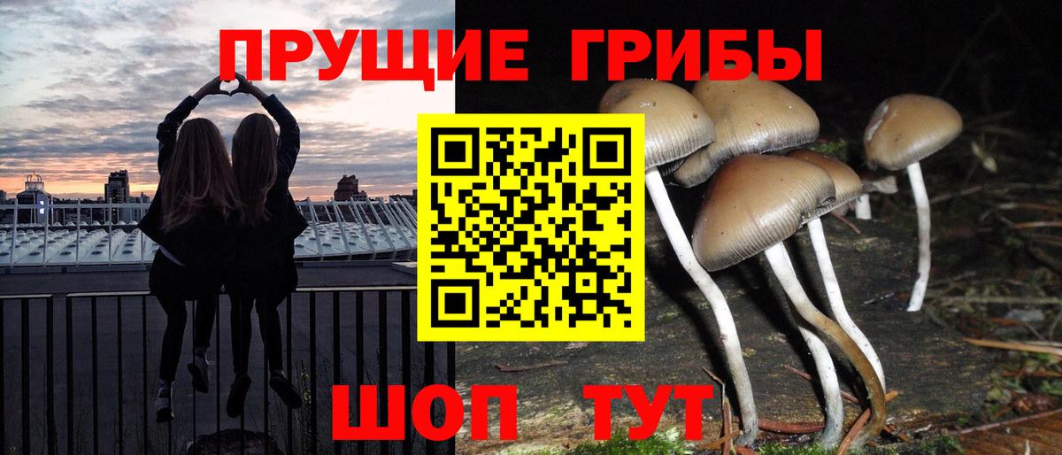 Галлюциногенные грибы мухоморы  Вход с VPN  Егорьевск  Галлюциногенные грибы мицелий 